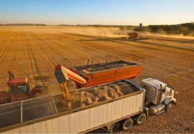 Safra de grãos caminha para novo recorde, com 328 milhões de toneladas