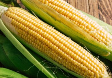 Milho se Valoriza com Alta do Petróleo e Demanda Forte, Reflexo da Geopolítica e do Mercado Interno
