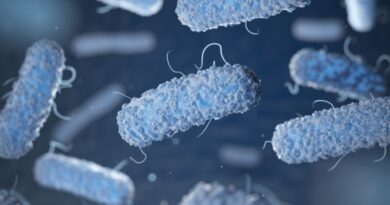 Estudo sobre patogenicidade da Salmonella aponta novas estratégias de controle na produção animal