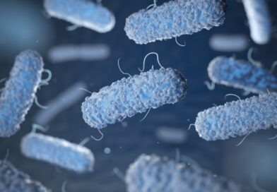 Estudo sobre patogenicidade da Salmonella aponta novas estratégias de controle na produção animal
