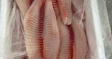 Importações de tilápia superam exportações do Brasil pela primeira vez e acendem alerta no setor