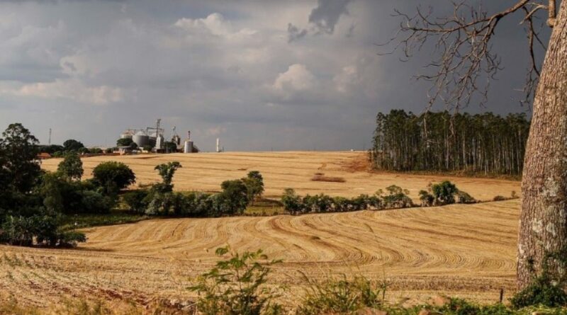 Sul do Brasil alia produtividade e sustentabilidade na safra de verão 2025/26
