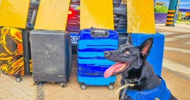 PRF apreende mais de 15 kg de cocaína com passageiras em ônibus interestadual na BR-364, em Cuiabá (MT)