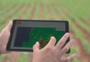 Plataforma de gestão agrícola monitora 5 milhões de hectares no Brasil e amplia eficiência nas fazendas