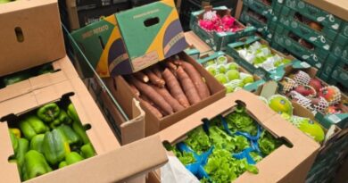 Brasil realiza primeiro envio de hortifrútis frescos em voo direto para a Ilha do Sal, em Cabo Verde