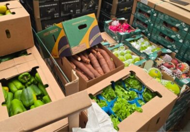 Brasil realiza primeiro envio de hortifrútis frescos em voo direto para a Ilha do Sal, em Cabo Verde