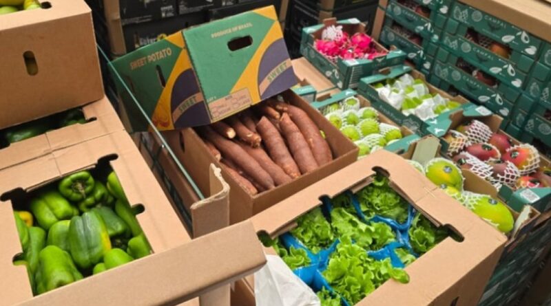 Brasil realiza primeiro envio de hortifrútis frescos em voo direto para a Ilha do Sal, em Cabo Verde