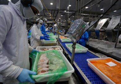 Mercado de frango ganha força no Brasil e preços se mantêm estáveis com avanço das exportações