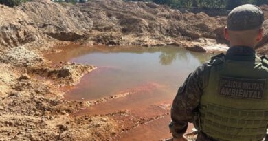 Batalhão Ambiental fecha área de desmatamento e garimpo ilegal em Novo Mundo