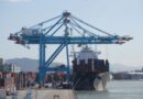 Santa Catarina consolida 5º maior agronegócio do Brasil e lidera agroindustrialização nacional, aponta estudo da FACISC