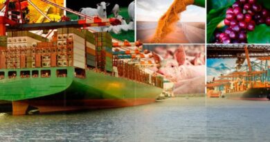 Agronegócio responde por mais de 50% das exportações do Brasil e reforça protagonismo na economia nacional