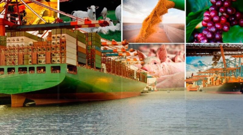 Agronegócio responde por mais de 50% das exportações do Brasil e reforça protagonismo na economia nacional