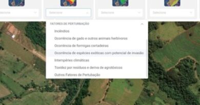 CAR Online ganha nova ferramenta para mapear danos ambientais e reforçar segurança jurídica no campo