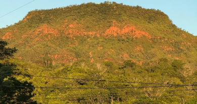 Ampliação da rede trifásica vai ser um divisor de águas, afirma agricultor familiar