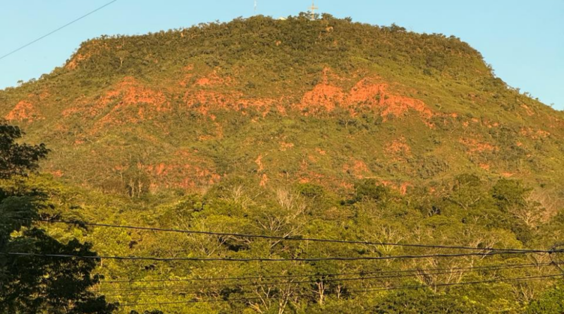 Ampliação da rede trifásica vai ser um divisor de águas, afirma agricultor familiar