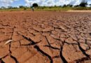 Clima extremo amplia perdas bilionárias no campo e pressiona sistema de seguros
