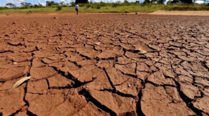 Clima extremo amplia perdas bilionárias no campo e pressiona sistema de seguros