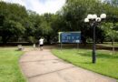 Sema realiza Trilha Interpretativa de Flora no Parque Mãe Bonifácia neste fim de semana