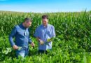 Agricultura de precisão e manejo de solo ajudam produtores a reduzir perdas climáticas e aumentar estabilidade da soja e do milho