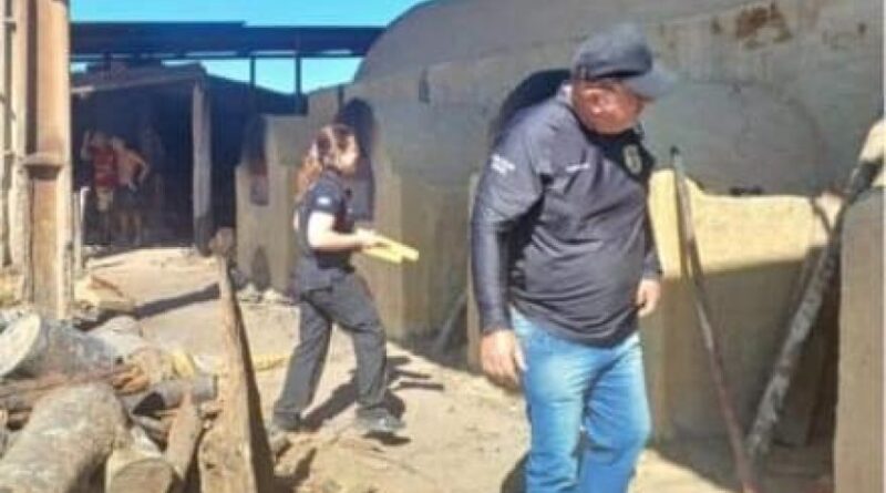 Polícia Civil incinera mais de meia tonelada de maconha em Porto Alegre do Norte