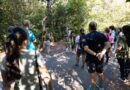 Atividades guiadas no Parque Mãe Bonifácia resgatam importância de árvores nativas