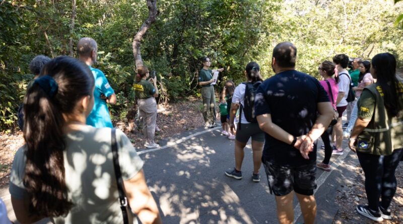 Atividades guiadas no Parque Mãe Bonifácia resgatam importância de árvores nativas