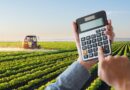 Com custos em alta, eficiência passa a definir competitividade no agro