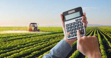 Com custos em alta, eficiência passa a definir competitividade no agro
