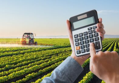 Com custos em alta, eficiência passa a definir competitividade no agro