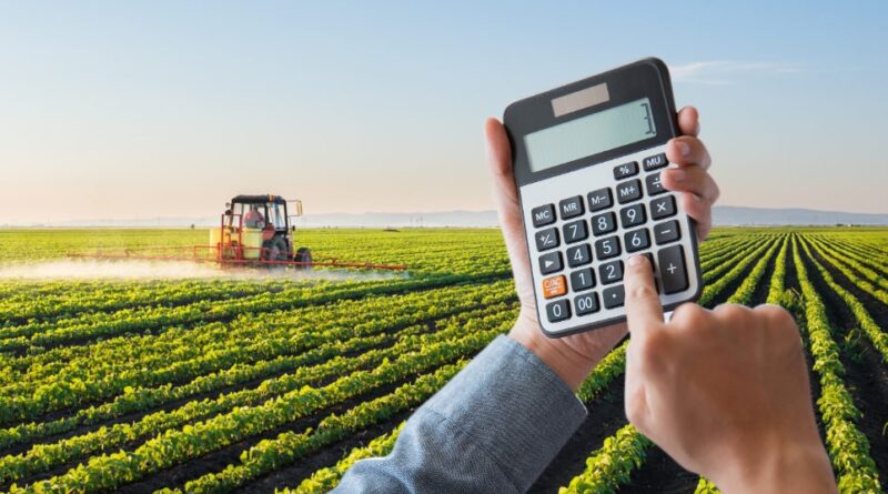 Com custos em alta, eficiência passa a definir competitividade no agro