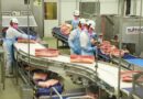 Exportações de carne suína superam R$ 7,7 bilhões no acumulado do ano