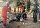 Sema e parceiros iniciam capacitação para manejo e contenção de fauna em caso de incêndios florestais