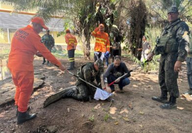 Sema e parceiros iniciam capacitação para manejo e contenção de fauna em caso de incêndios florestais
