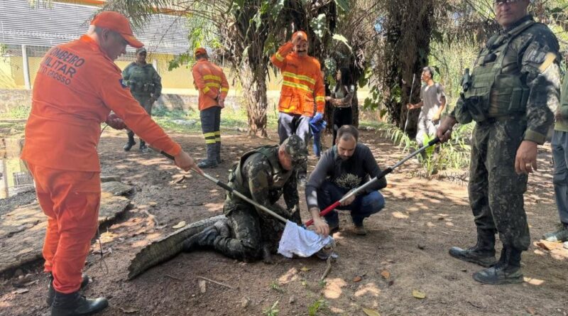 Sema e parceiros iniciam capacitação para manejo e contenção de fauna em caso de incêndios florestais